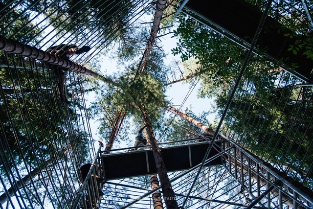 Forest Temple / Marco Casagrande - Small Scale, Forest
