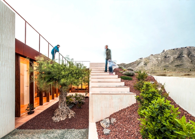 Vivienda Semi Enterrada  / eneseis arquitectura - Casas