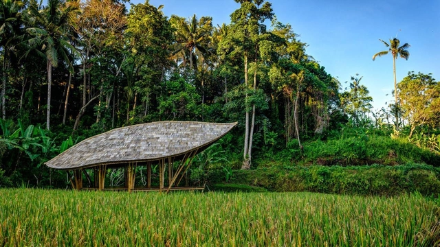 Pabellón de yoga en Four Seasons / IBUKU - Obras De Pequeña Escala