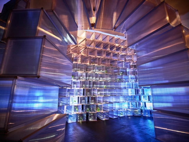 Realrich Architecture Workshop建筑事务所设计的Brava之家展示出生活的哲理 - 主图
