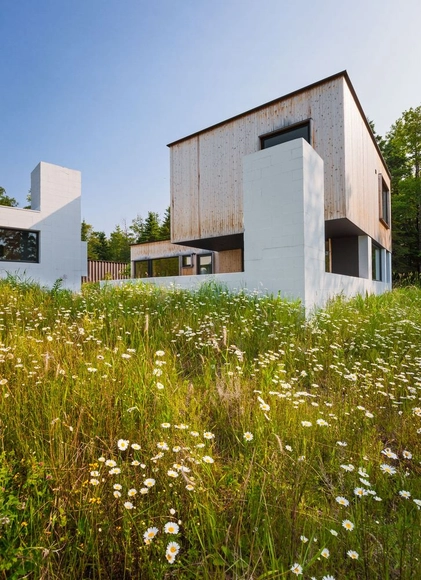 Larson Bergquist 度假屋 / Salmela Architect - 独立住宅