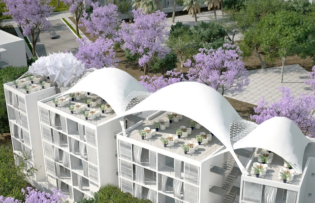 Nuevo desarrollo de viviendas públicas ecológicas construidas sobre un olivar - Imagen Principal