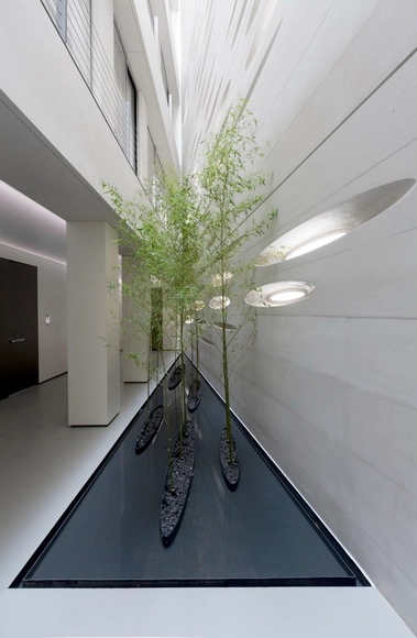 Residencia Rowzan  / RYRA Studio - Casas