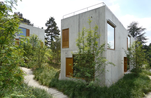 Two-familiy Apartment Houses  / Staehelin Meyer Architekten - Houses, Garden, Facade, Door