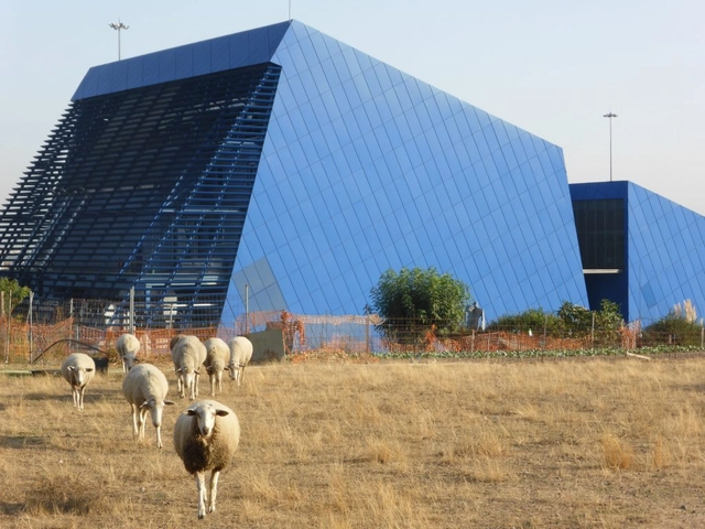 Depois do êxodo rural / Álvaro Domingues - Imagem de Destaque