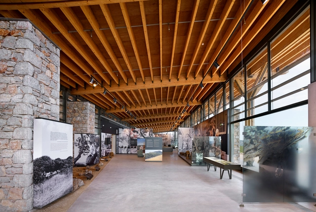 Museo Chios Mastic / KIZIS STUDIO - Museo