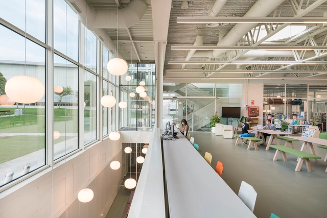 Librería y Cafetería American school of Madrid / Luis Gayarre arquitectos - Bibliotecas