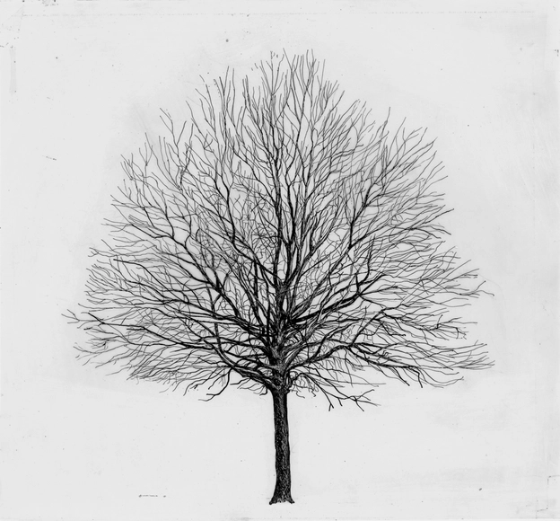 Exhibition Examining Cesare Leonardi To Open in Genoa - Featured Image