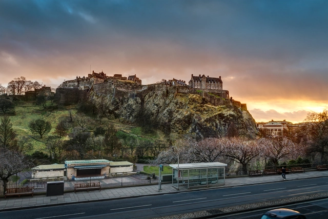 The Ross Pavilion International Design Competition  - Featured Image