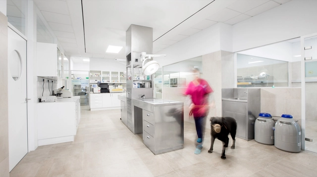 Hospital Veterinário Constitución / Dobleese Space & Branding - Veterinária