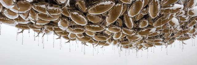 PHILIPPE PARRENO: A TIME COLOURED SPACE - Imagem de Destaque