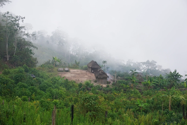 Arquitectos peruanos buscan aprender de las selvas del mundo: un viaje por Indonesia, Camerún, Honduras y Perú - Sustentabilidad
