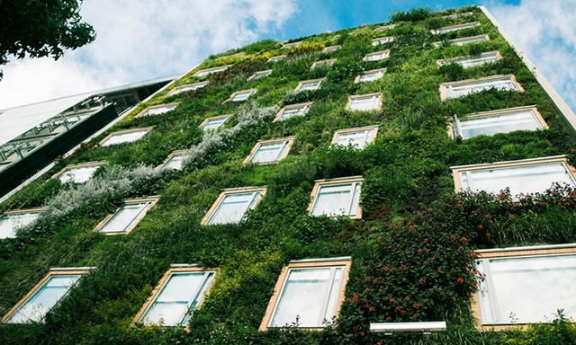 Edición 2017 del curso profesional de diseño y construcción de jardines verticales en Santiago - Imagen Principal