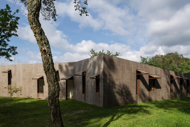 Casa Lagartixa / Paula Ribas + Gémeo Luís + Nuno Valentim - Casas, Fachada, Arco