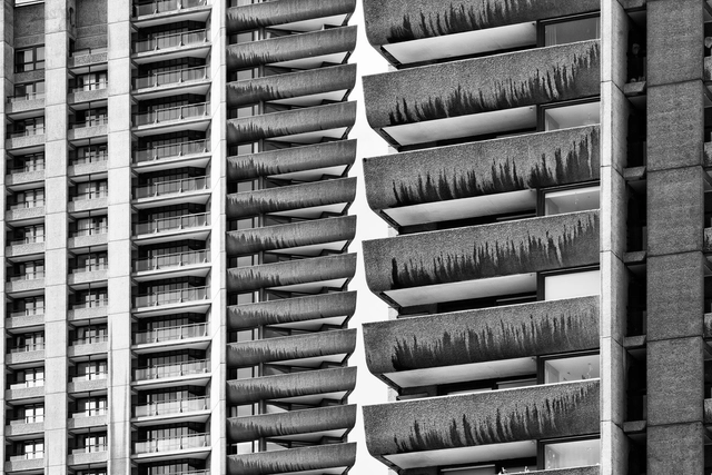 Decide: ¿la foto o el proyecto?  - Imagen Principal