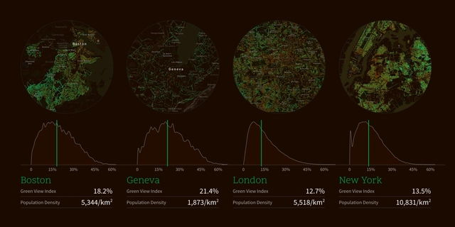 Treepedia: la enciclopedia de los árboles de ciudades de todo el mundo - Imagen Principal