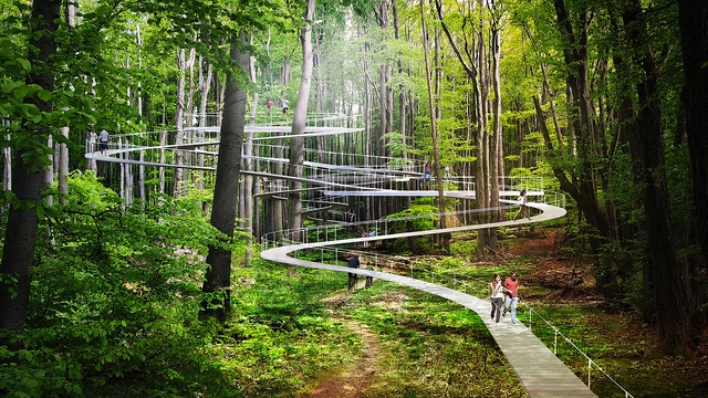 Parque en Estambul permitirá a los visitantes pasear entremedio de las copas de los árboles - Imagen Principal
