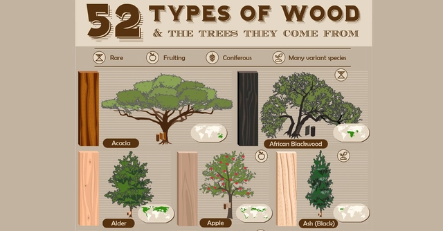 52 Types of Wood and the Trees They Come From - Featured Image