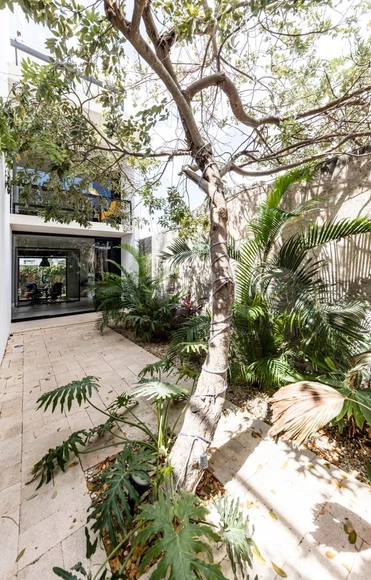 Design Alley / R79 - Arquitectura De Oficinas, Jardín, Fachada