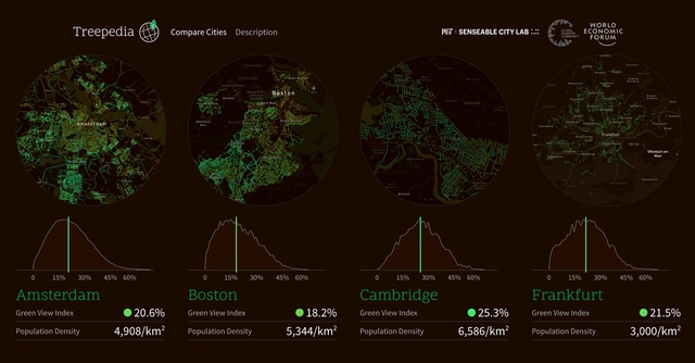 Treepedia - MIT Maps and Analyses Tree Coverage in Major Cities - Sustainability