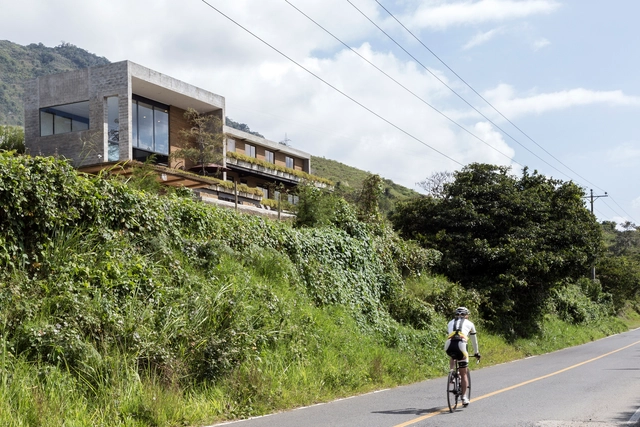 El Olivo  / BASES arquitectos - Casas