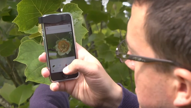 PlantNet: el "Shazam" de las plantas que hará la vida de los paisajistas más fácil - Imagen Principal