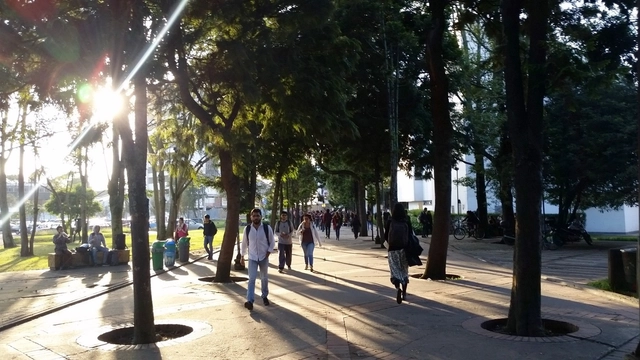 Sete passos para cidades mais inteligentes - Imagem de Destaque
