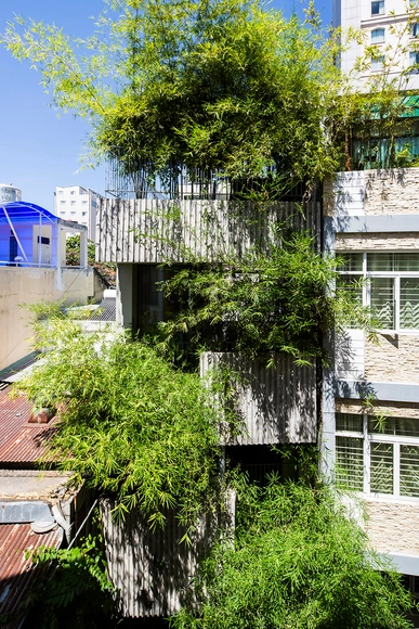 Casa Bambú / VTN Architects - Casas