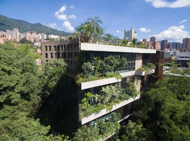 Conoce a los ganadores del Premio Lápiz de Acero 2017 - Imagen Principal