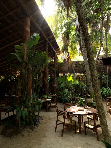 NOMA México / La Metropolitana + Studio Arquitectos - Restaurante