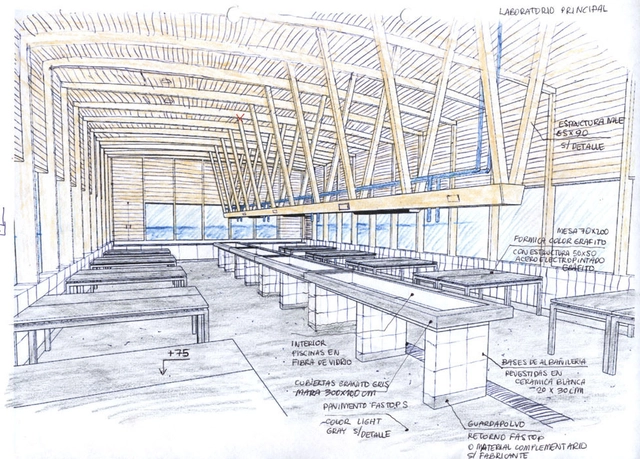 Intercâmbio levará arquitetos e engenheiros para conhecer construções em madeira no Chile - Imagem de Destaque