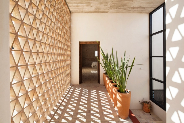 Casa Iguana / Obra Blanca - Casas
