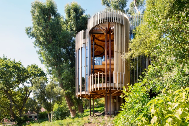 Casa na Árvore / Malan Vorster Architecture Interior Design - Casas
