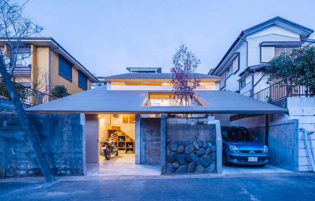 Administrative House / DOG - Houses, Door, Facade