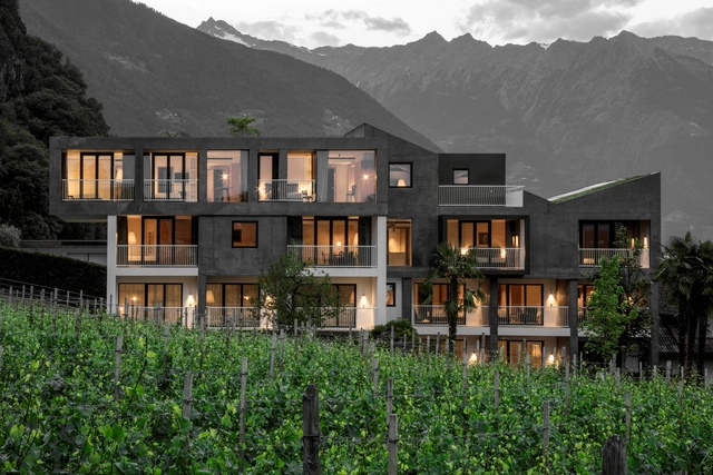 山前的一座建筑雕塑——Ballguthof 酒店 / bergmeisterwolf architekten - 酒店