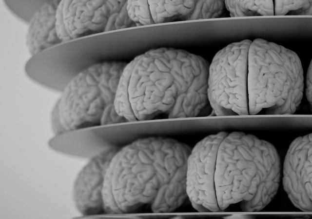 Arquitectos describen el espacio de forma diferente a otras personas, según estudio de UCL - Imagen Principal