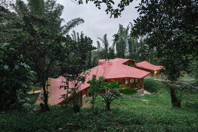 Hostal Tosepankali / Proyecto Cafeína - Hostal