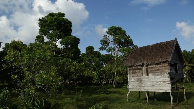 Tradición Constructiva en Laka Tara, una comunidad vernácula en Honduras - Imagen Principal