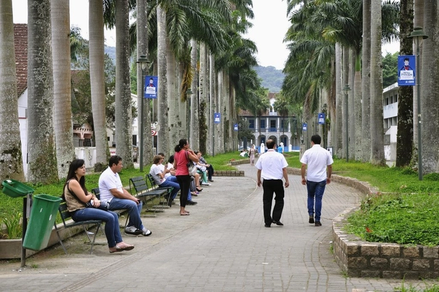 Cada árvore importa: cidades passam a priorizar a arborização urbana - Imagem de Destaque