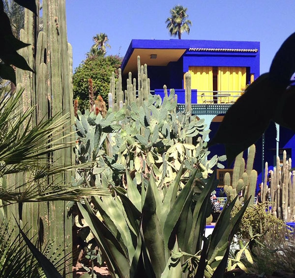 La vibración de colores del Jardín Majorelle en Marrakech - Imagen Principal