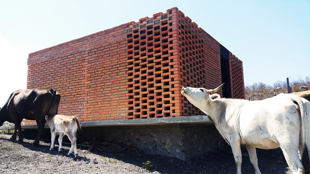 36c / BIOSARQS - Casas, Puerta, Fachada