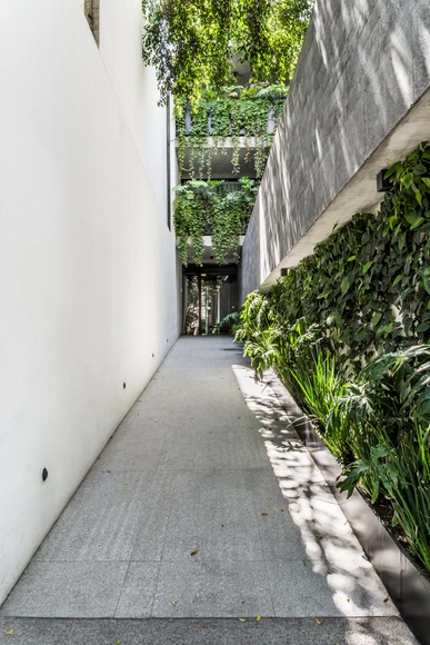 空间即万象：Damas 45 / dmp arquitectura - 居住建筑