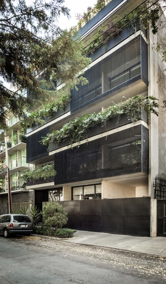 绿植与光线交织起舞 Capuchinas 34 / dmp arquitectura - 居住建筑