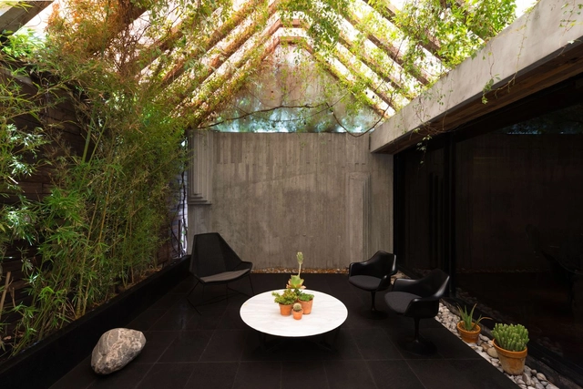 Montelena Arquitectura / Anagrama - Showroom, Jardín, Mesas, Iluminación, Sillas