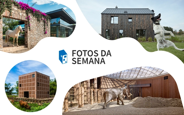 Fotos da Semana: 20 imagens de arquitetura e animais - Imagem de Destaque