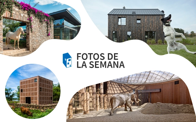 Fotos de la Semana: 20 increíbles imágenes de arquitectura y animales - Imagen Principal