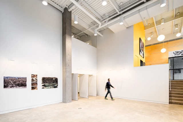Estudio Fitzhenry / dpai architecture - Ampliación