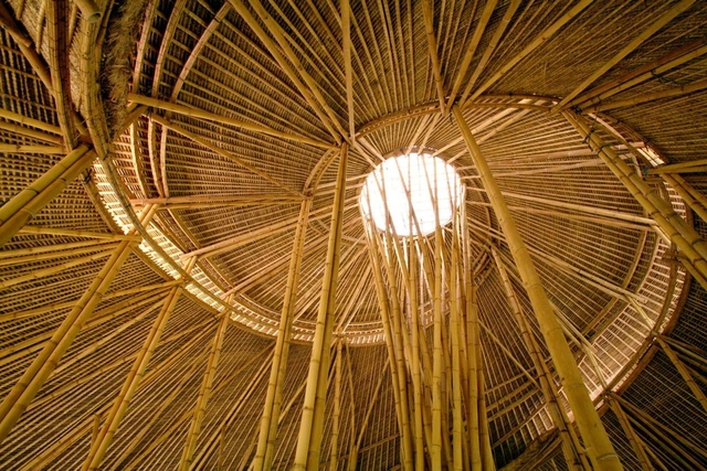 The Beauty of Bamboo: The Best Photos of the Week - Featured Image