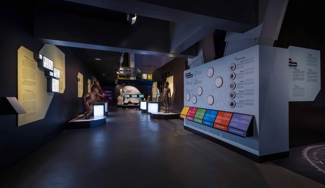Indissoluble y ZFC Arquitectos diseñan una exposición que crea experiencias sobre el conocimiento del cerebro - Imagen Principal