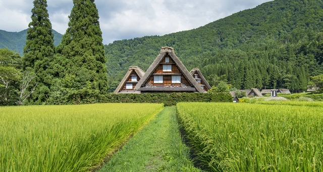 Architectural Adventures: Architectural Tour of Japan - Featured Image